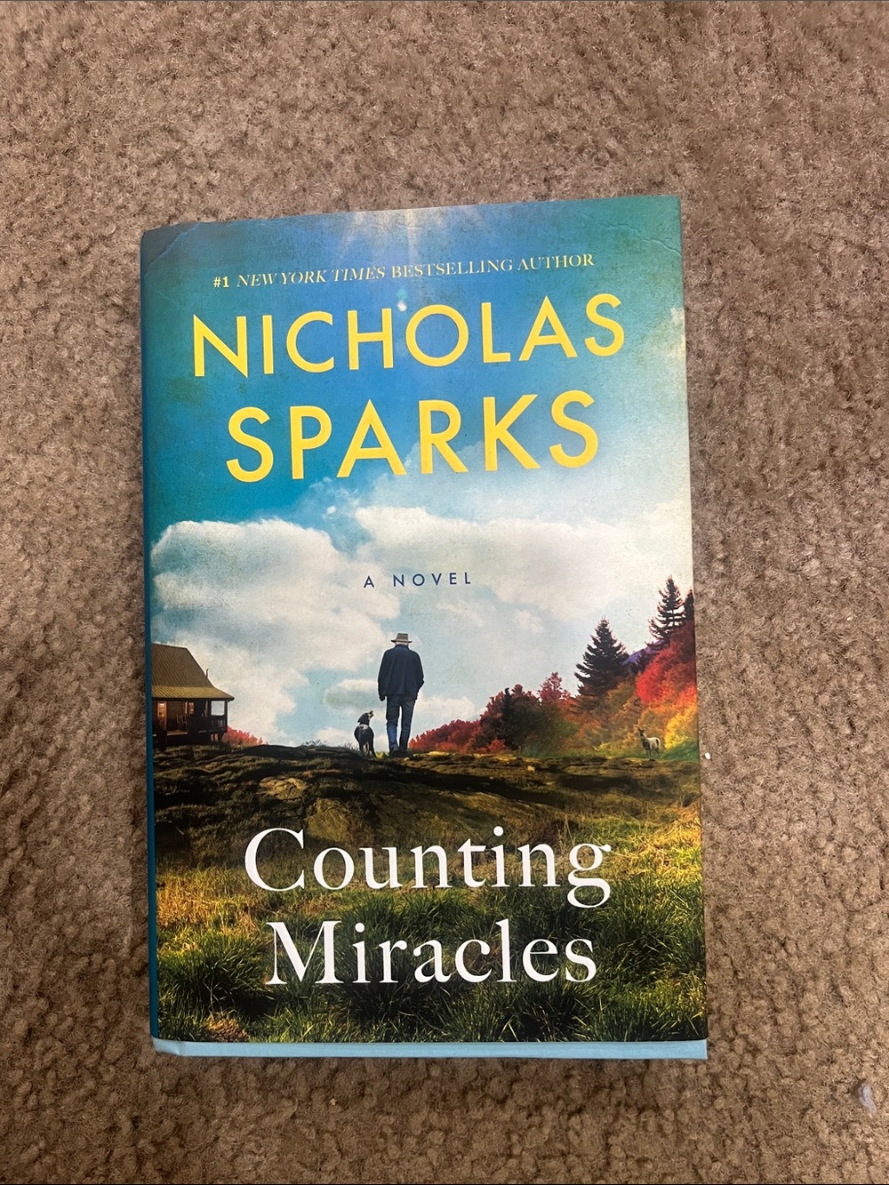Counting Miracles by Nicholas Sparks